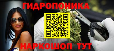 шишки Ливны